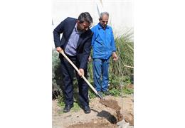 مراسم "روز ملی درختکاری" در شرکت رسام نگار جاوید برگزار شد.